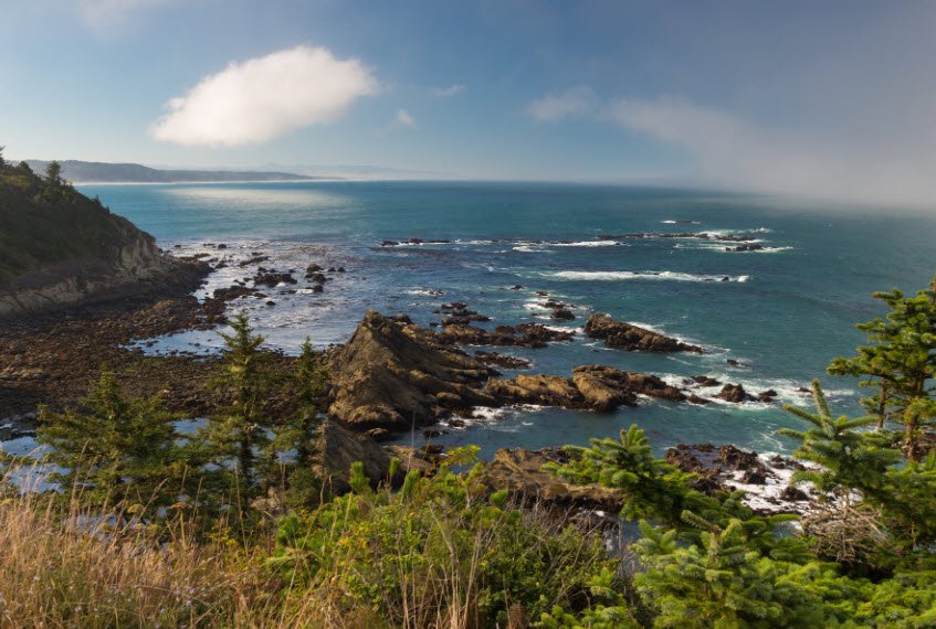 Cape Arago State Park, Oregon, USA